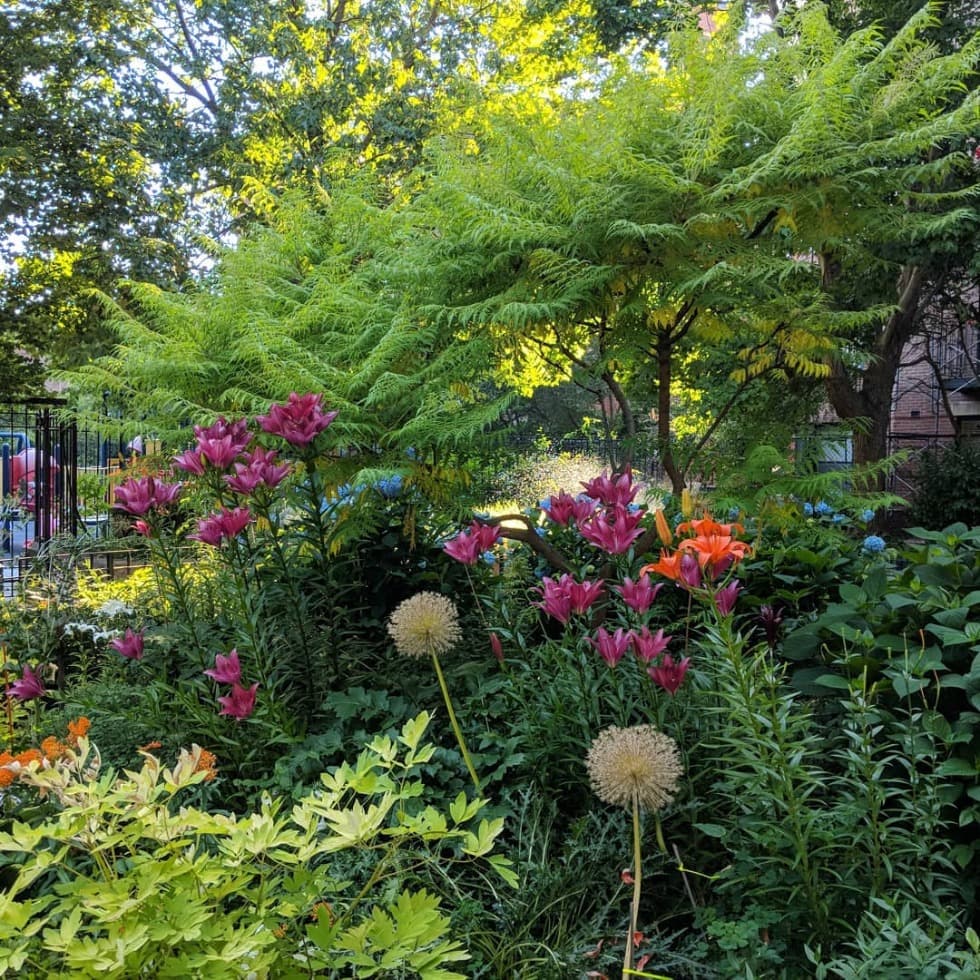 Lilies, Allium & Hydrangea