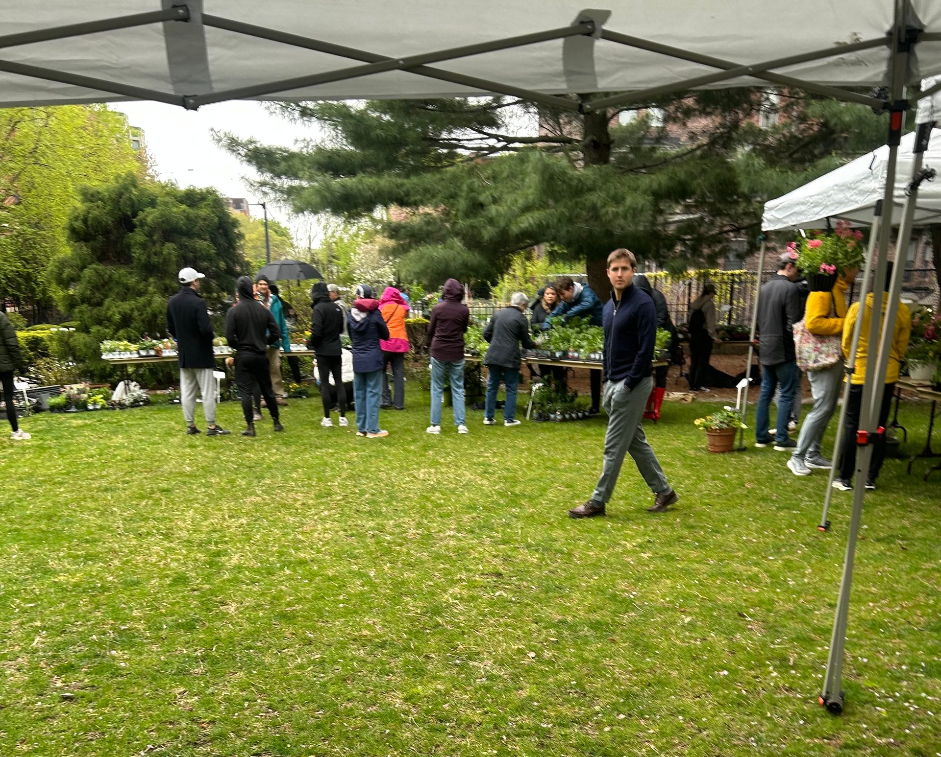 Visitors browsing plant tables under canopy tents at Durham Grass