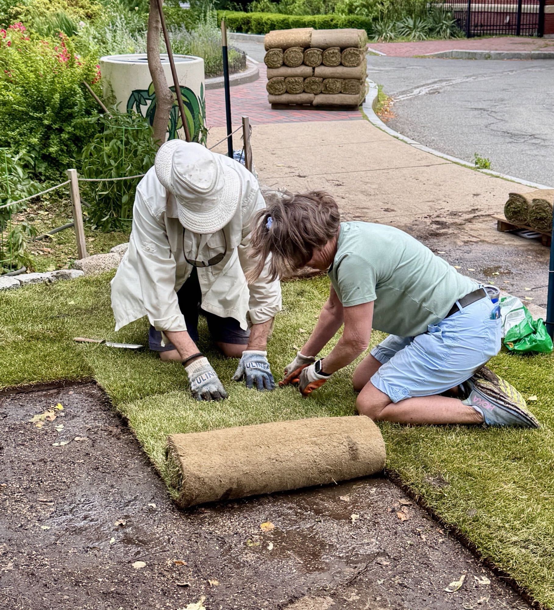 Two volunteers kneeling to cut and fit a roll of sod into place