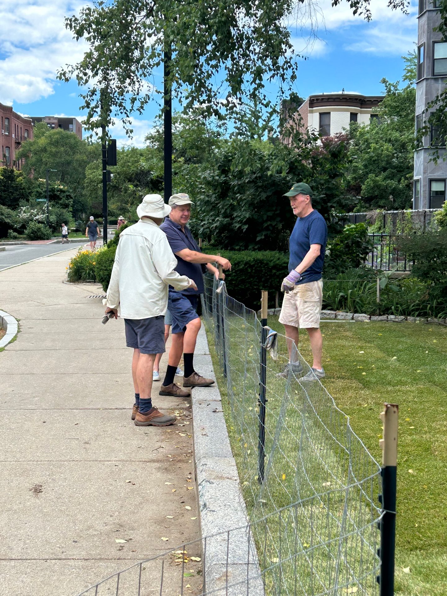 Three volunteers installing string fencing along a sidewalk-edge lawn