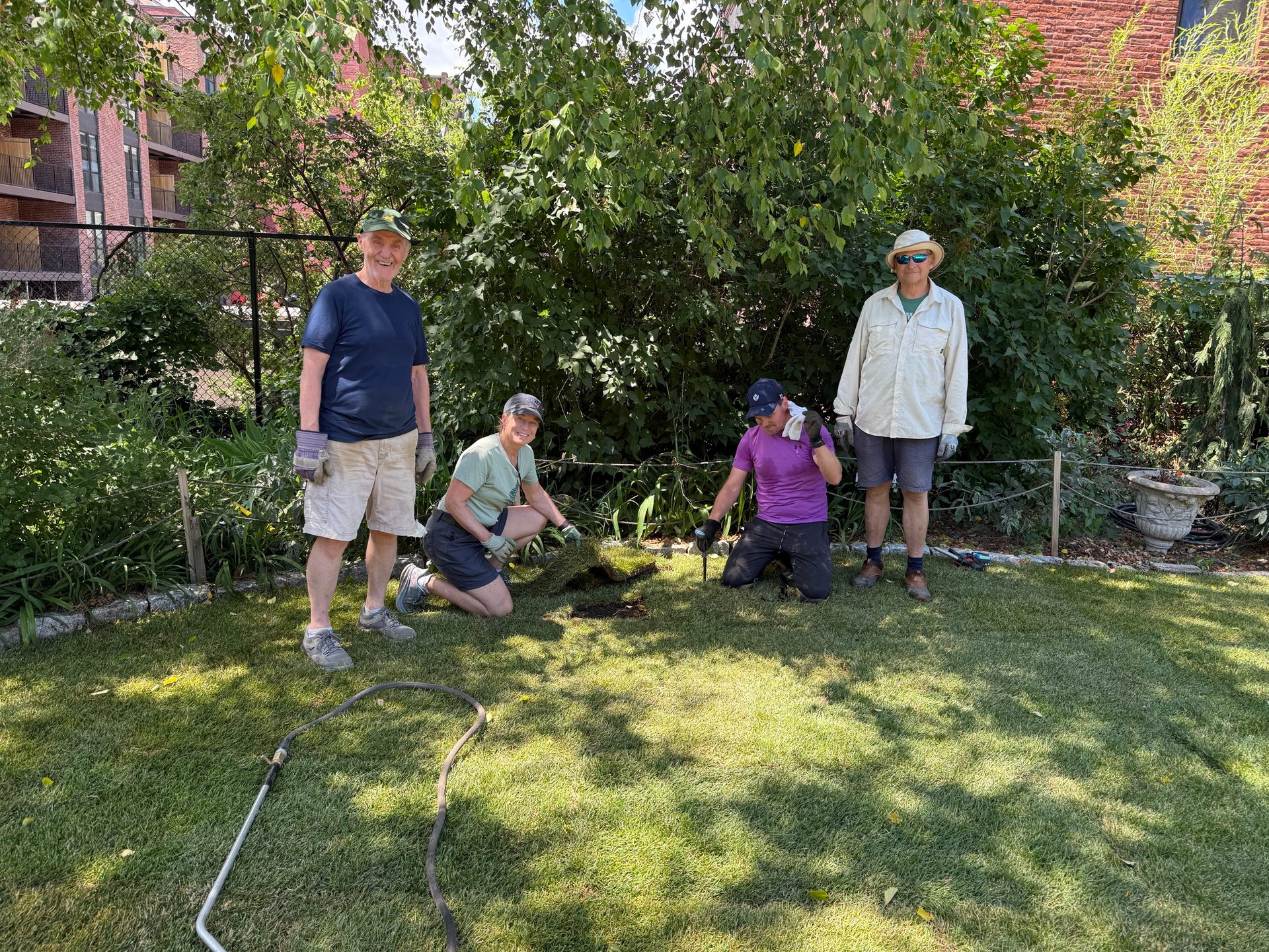 Four volunteers working in a garden bed