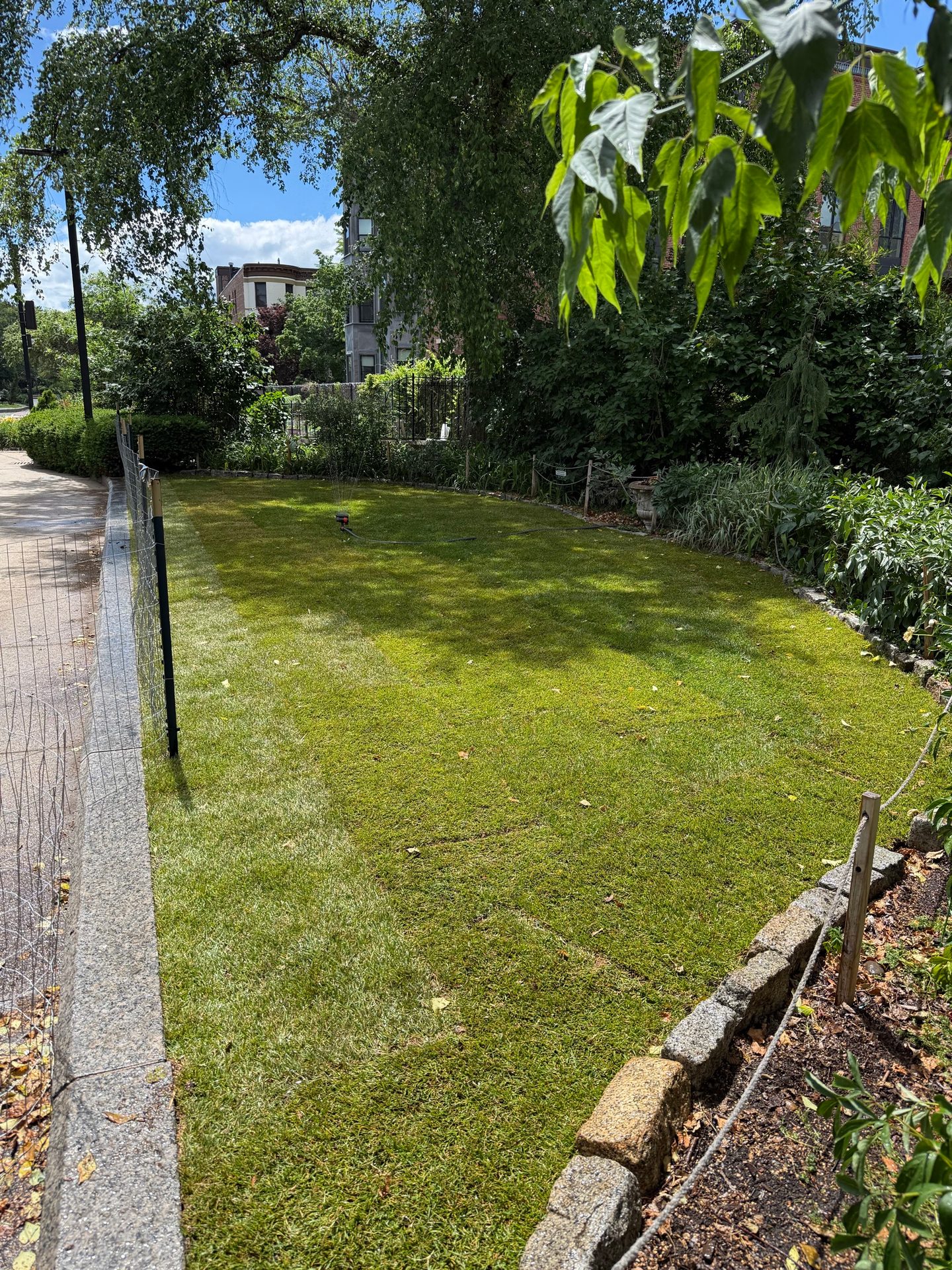 A newly sodded lawn bordered by a stone curb